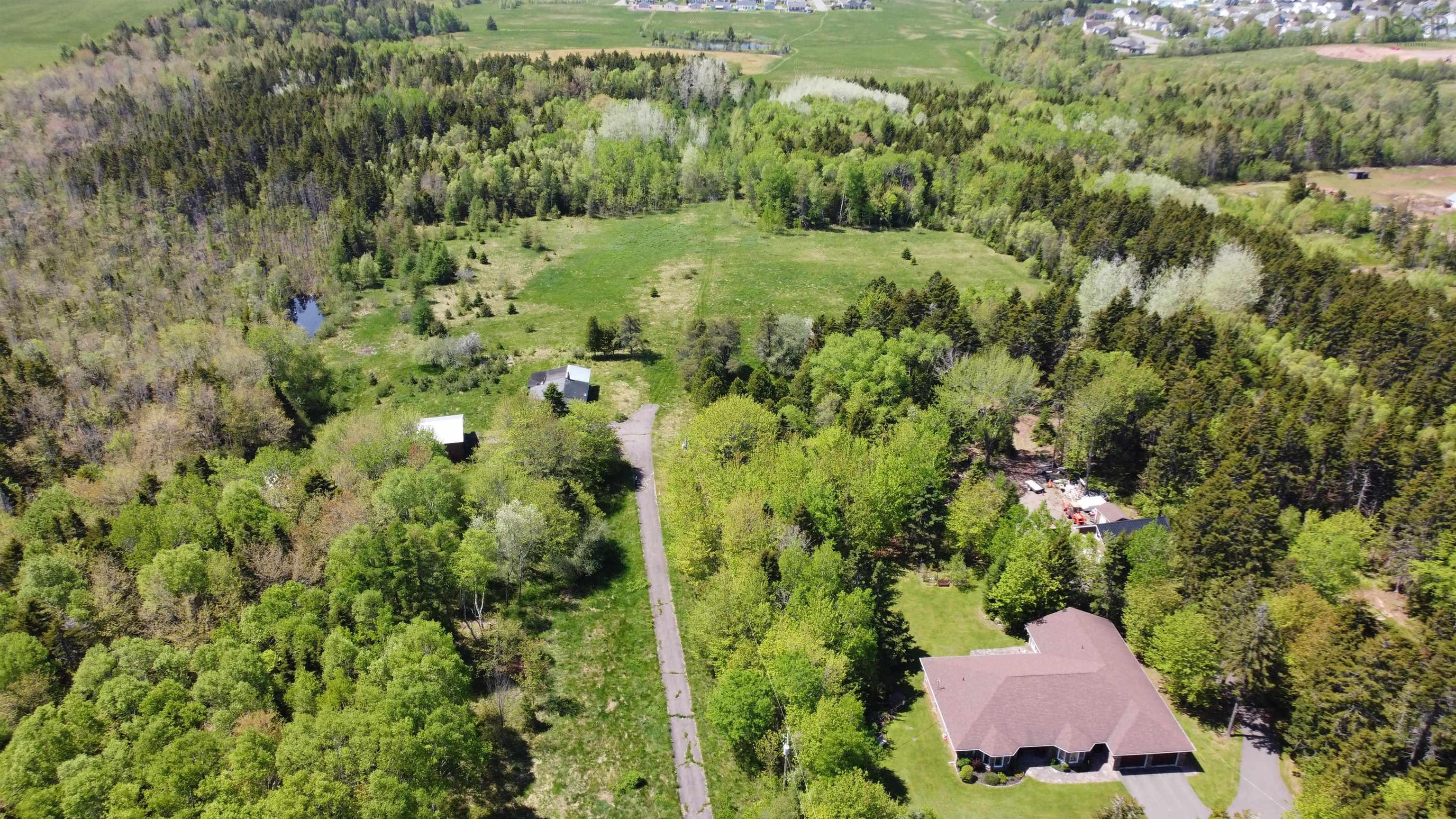 Bird's eye view of a forest