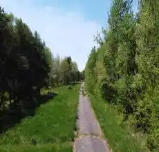 View of street with a wooded view