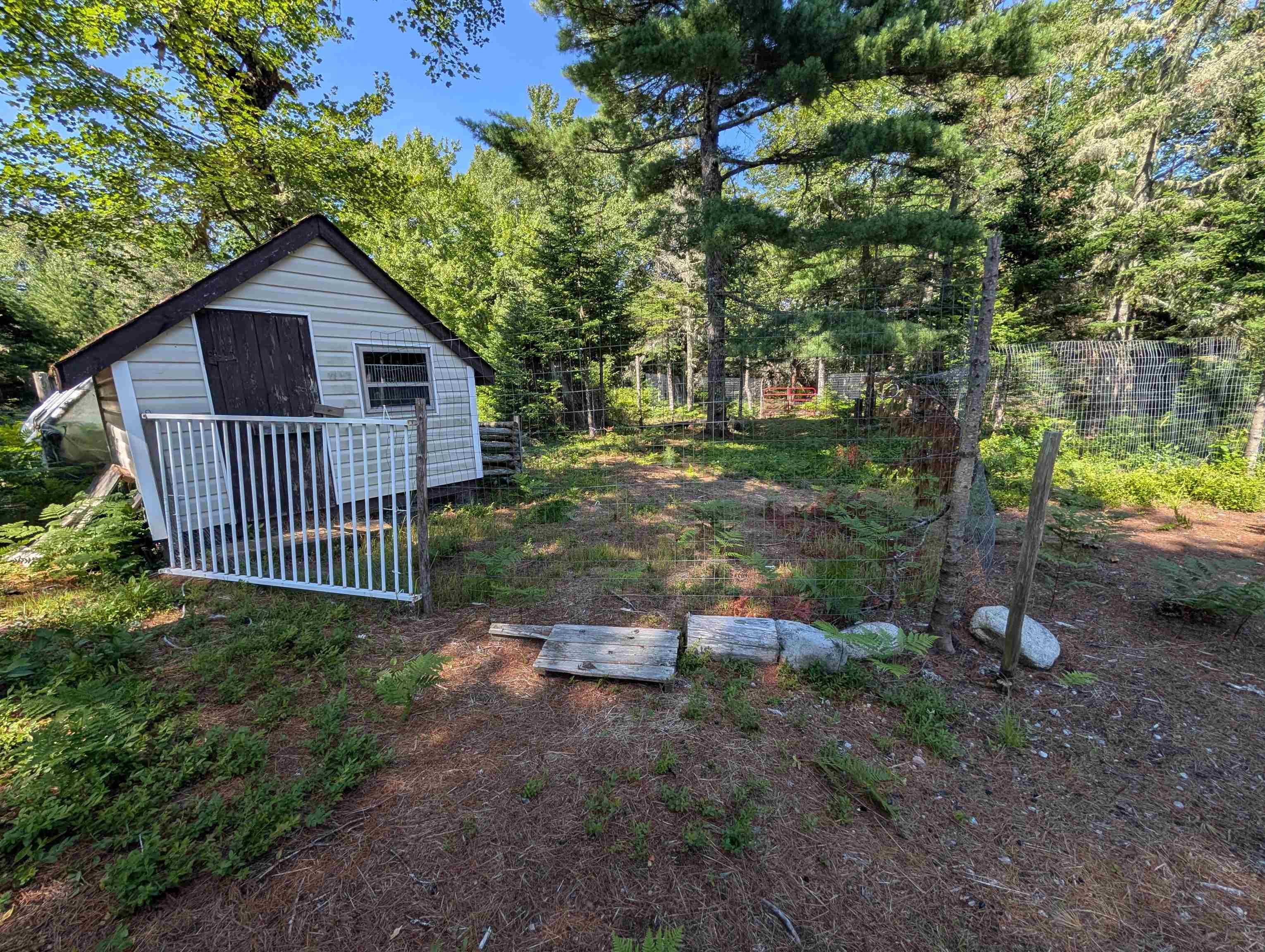 View of yard with an outdoor structure