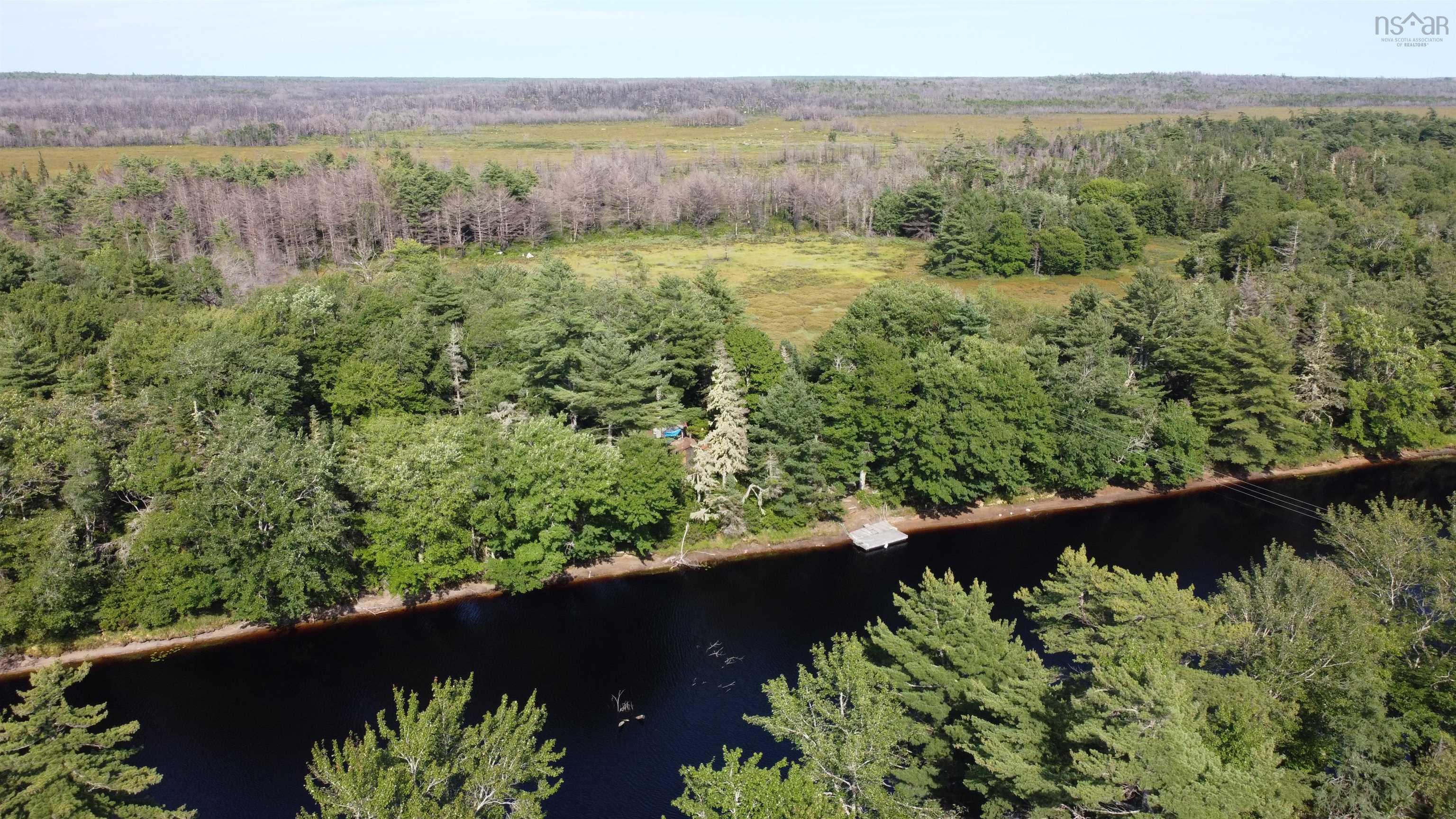 Drone / aerial view of a forest and a large body of water