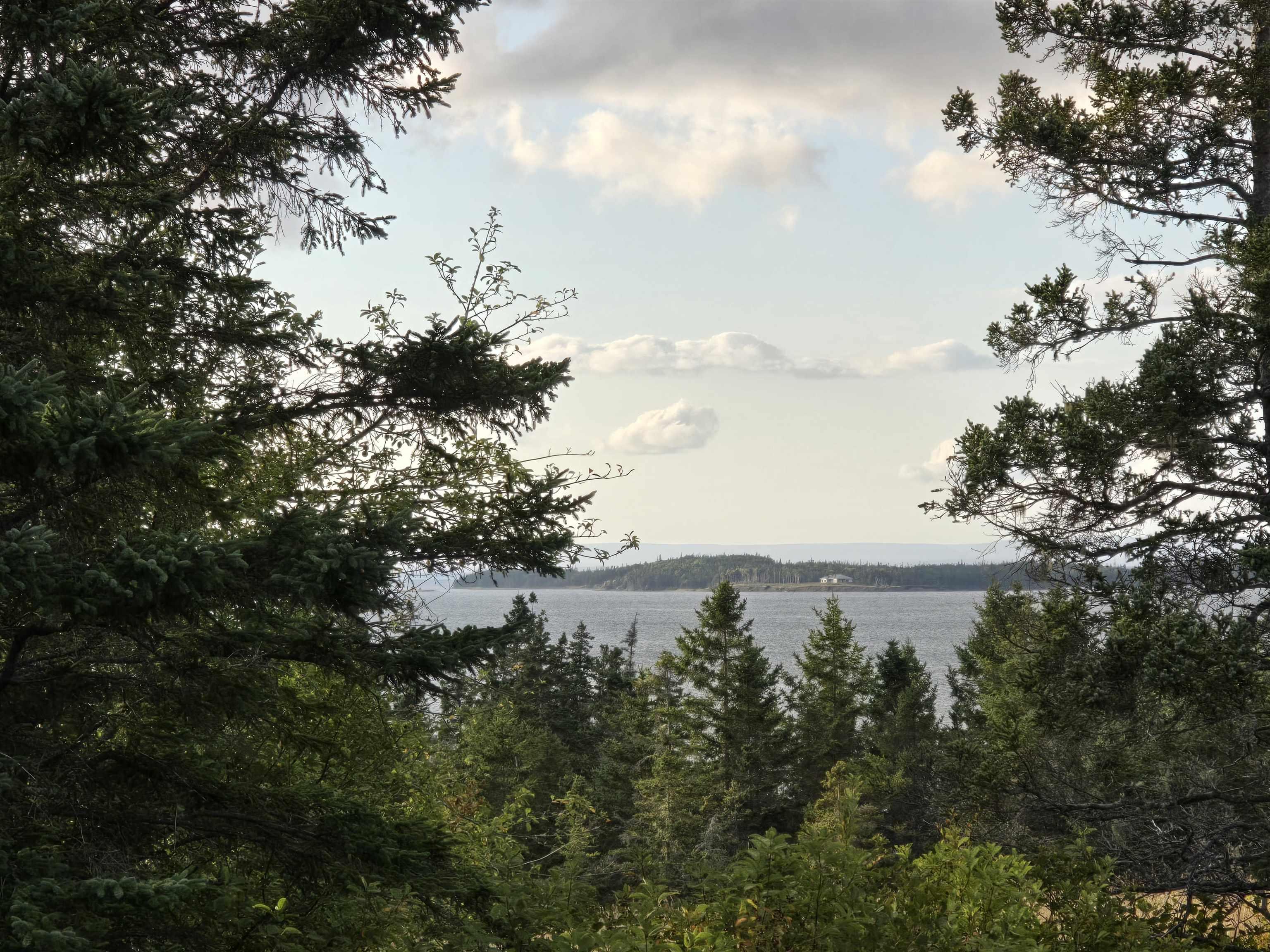 NO 4, Soldiers Cove, NS, ,Vacant Land,For Sale,NO 4,202522934