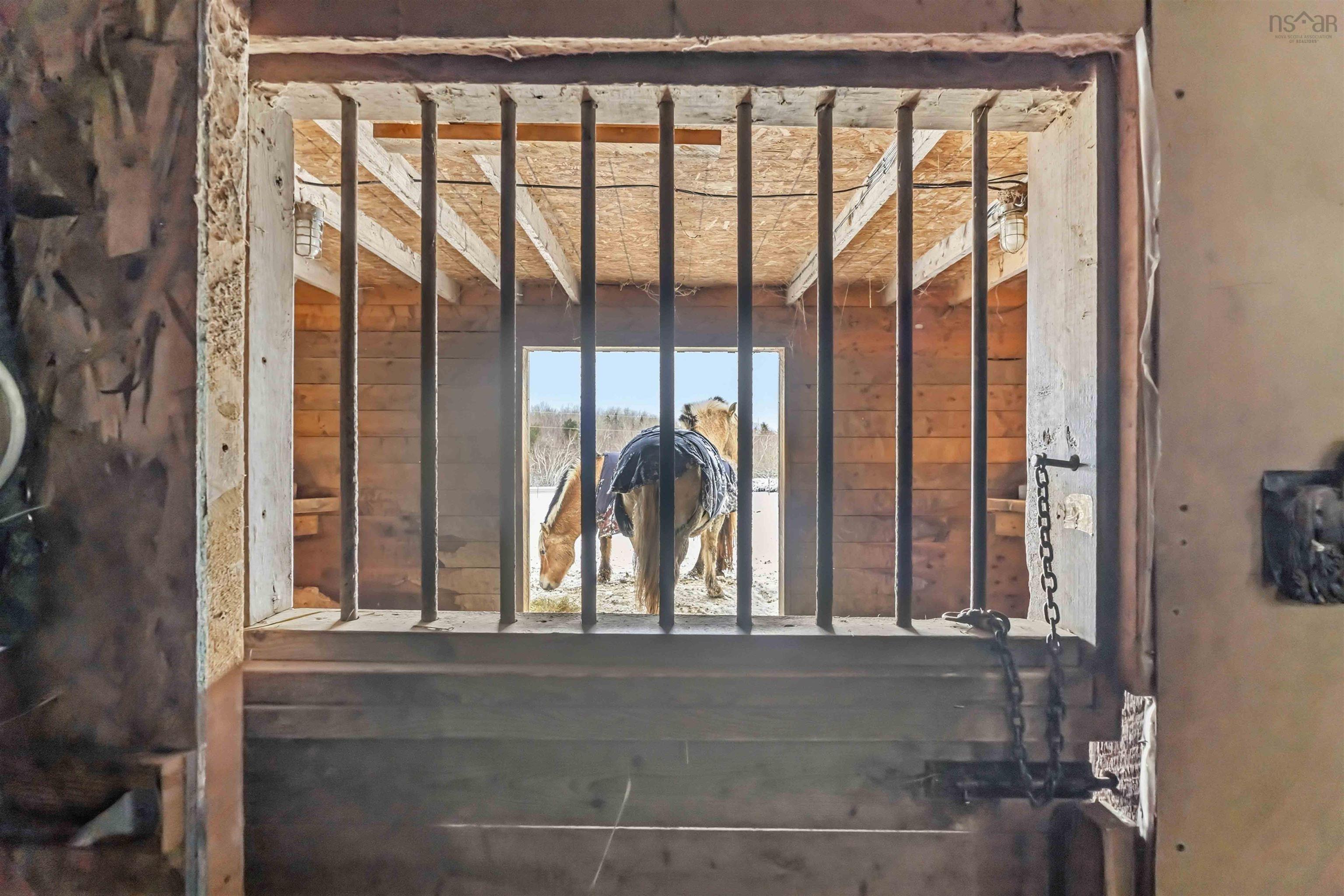 251 Ben Jackson, Hants Border, NS, 3 Bedrooms Bedrooms, ,1 BathroomBathrooms,Farm,For Sale,Ben Jackson,202604727