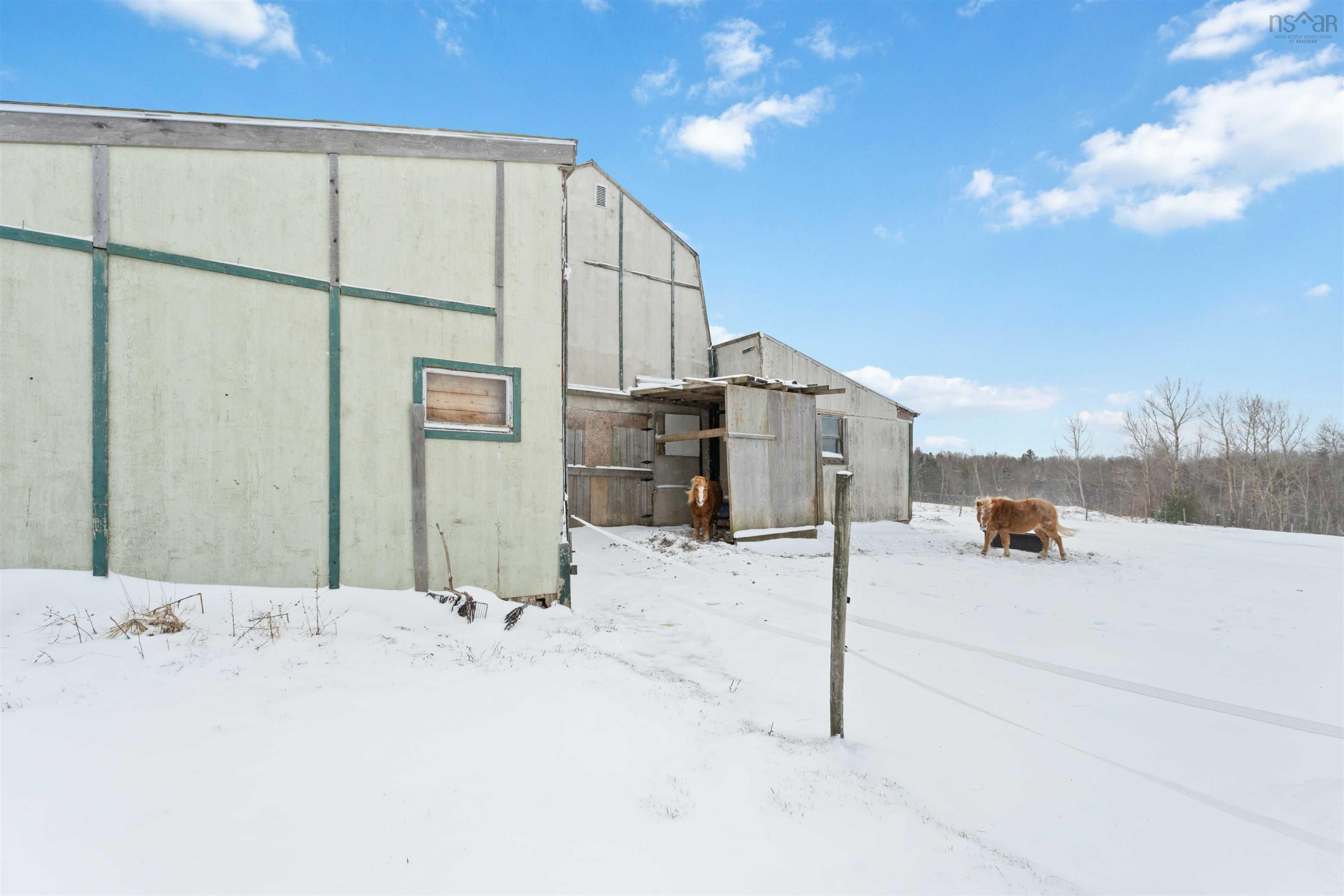 251 Ben Jackson, Hants Border, NS, 3 Bedrooms Bedrooms, ,1 BathroomBathrooms,Farm,For Sale,Ben Jackson,202604727