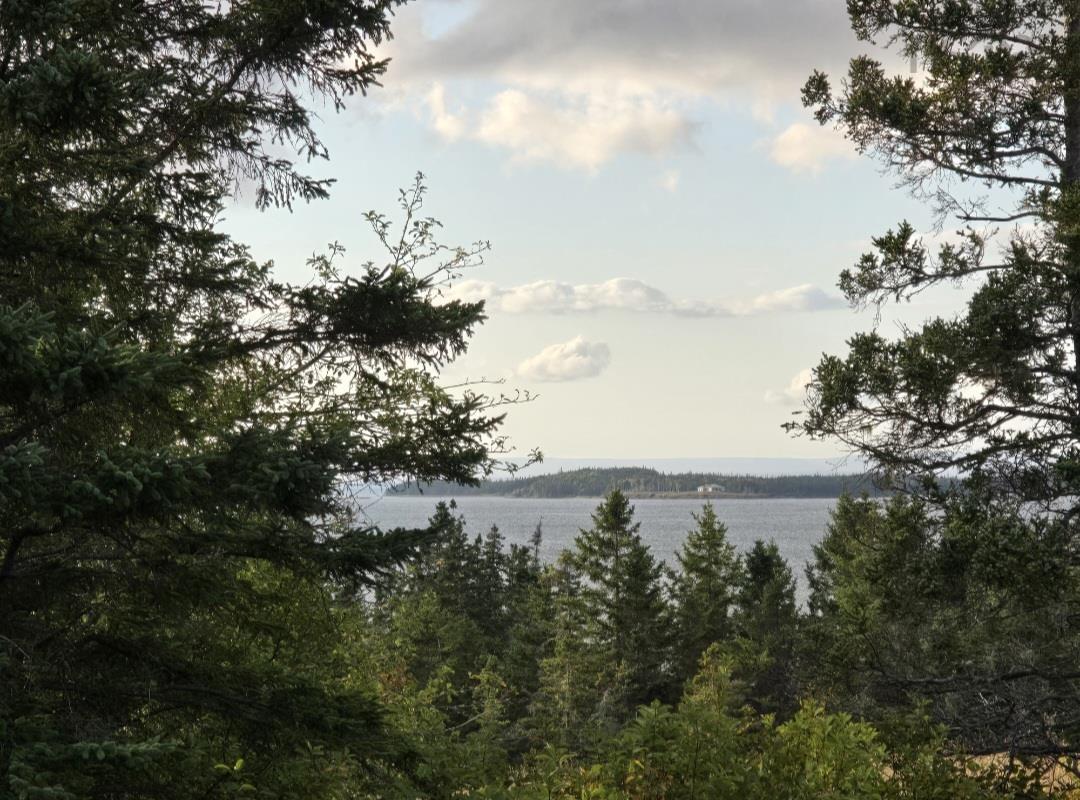 NO 4, Soldiers Cove, NS, ,Vacant Land,For Sale,NO 4,202607087